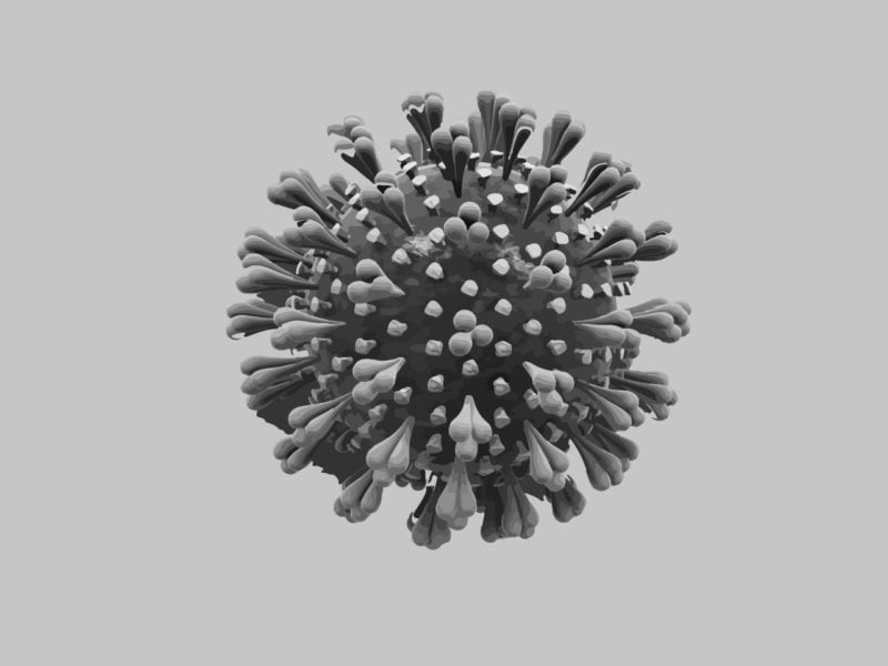 Bihar Government has declared Corona an Epidemic