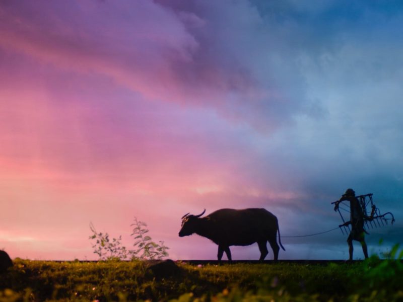 sushil modi kisan credit card 3 lakh farmer bihar