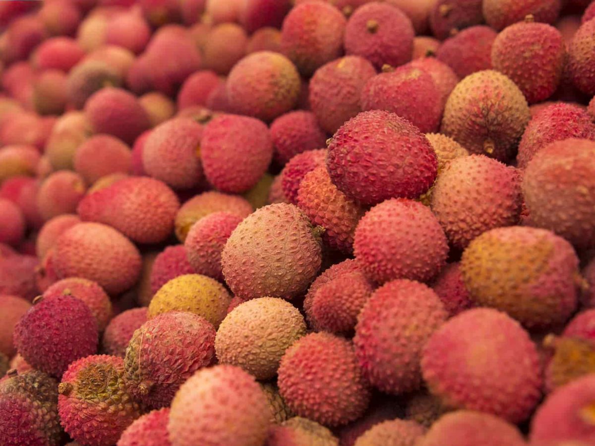 How to order Muzaffarpur Shahi Litchi and Bhagalpur Jardalu Mango Online?