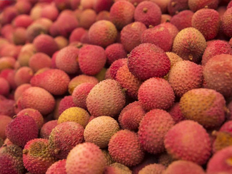 How to order Muzaffarpur Shahi Litchi and Bhagalpur Zardalu Mango Online