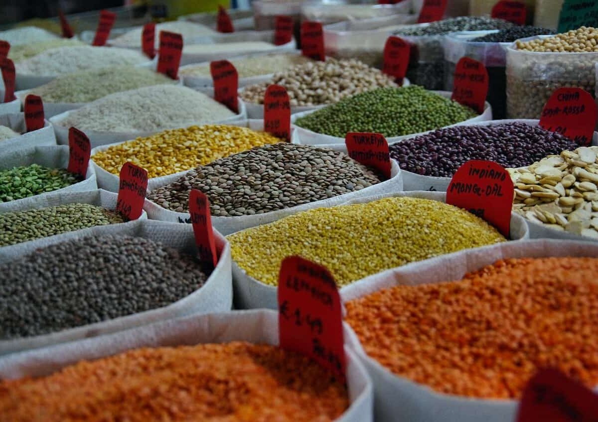 Bihar Government Pulse Procurement