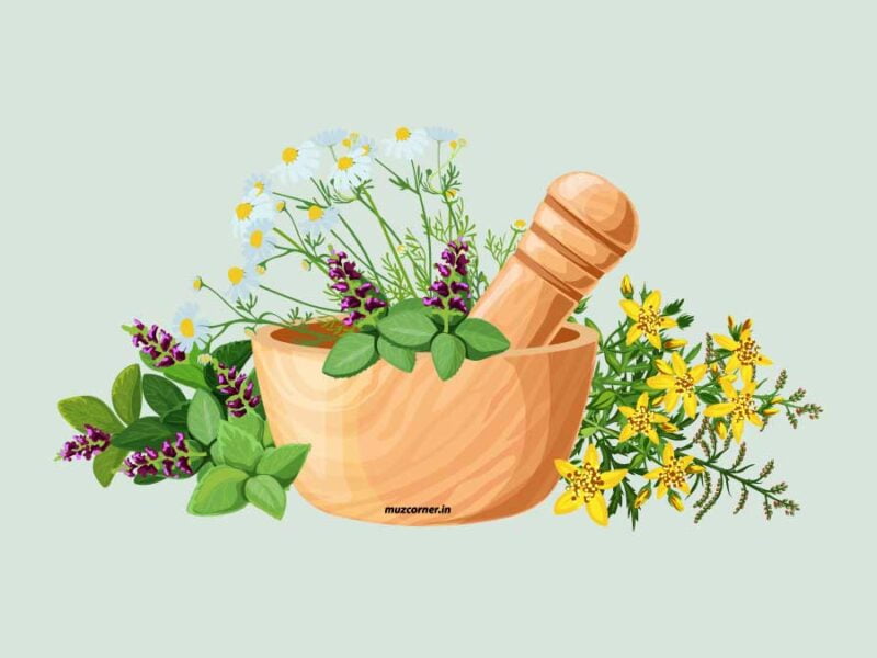 Muzaffarpur Darbhanga Begusarai Ayurvedic College