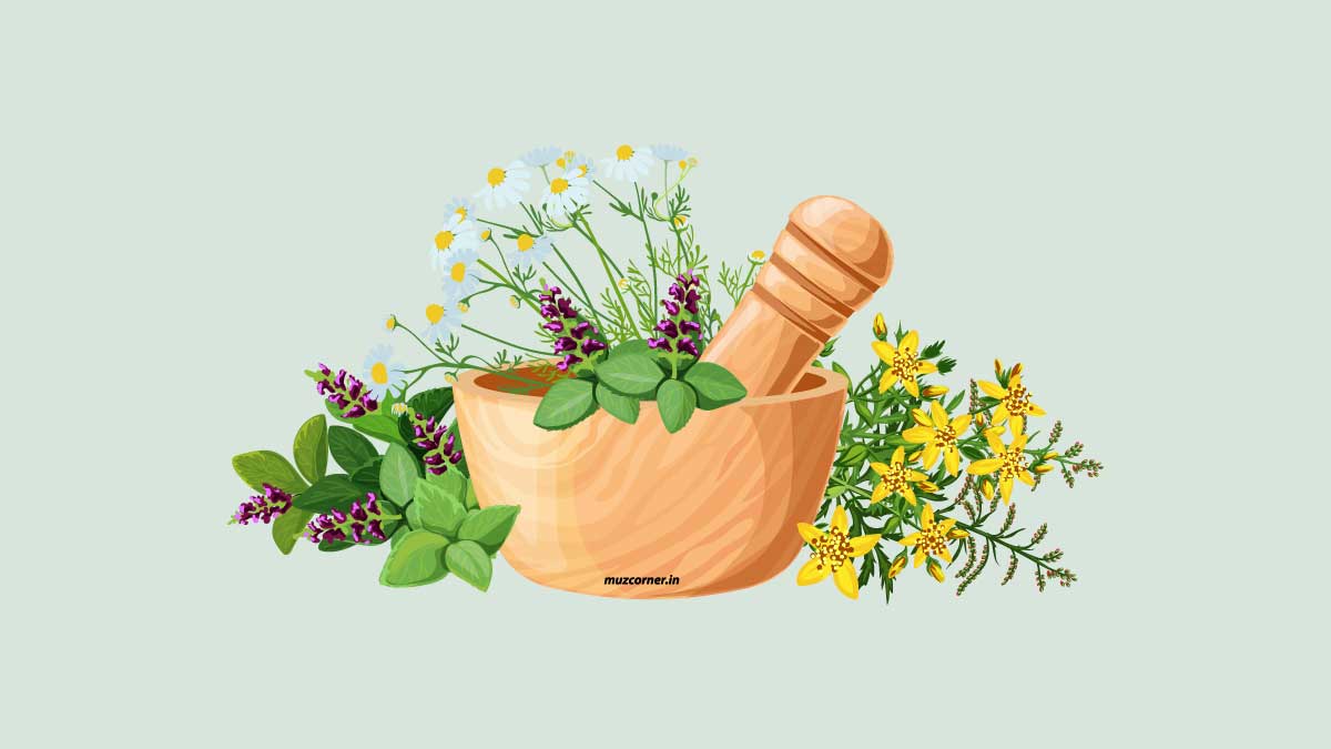 Muzaffarpur Darbhanga Begusarai Ayurvedic College
