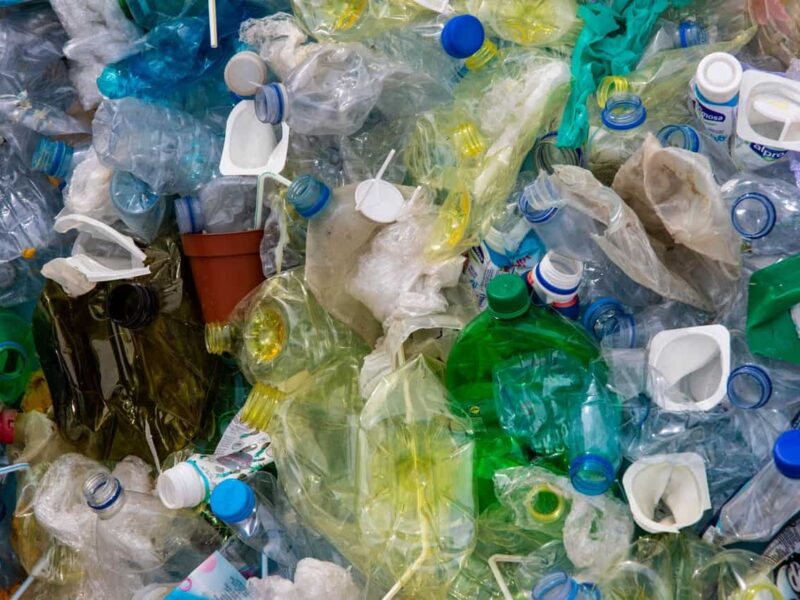Bihar Bans Single Use Plastic From December 2021