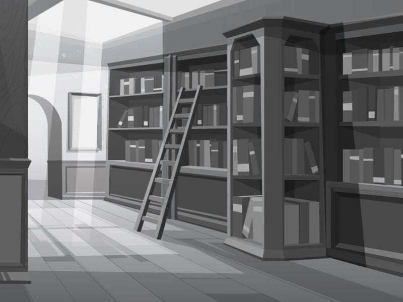 Bihar will soon recruit 900 Librarians in State High Schools