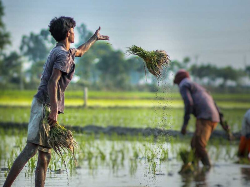 Crops in 6.64 lakh hectares of land in Bihar damaged due to Flood in 2021