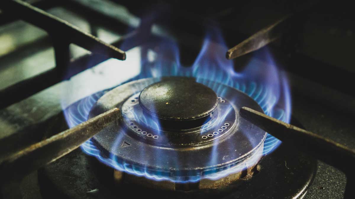 Muzaffarpur 12 Zones Piped Natural Gas