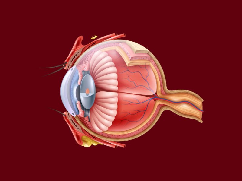 Muzaffarpur Eye Hospital Takes Patients EyeSight After Cataract Surgery