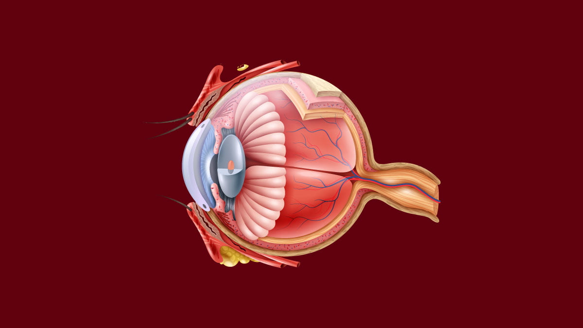 Muzaffarpur Eye Hospital Takes Patients EyeSight After Cataract Surgery