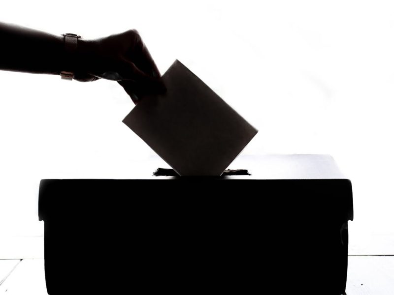 How to Update Your Voter ID During Bihar Voter List Verification 2025?