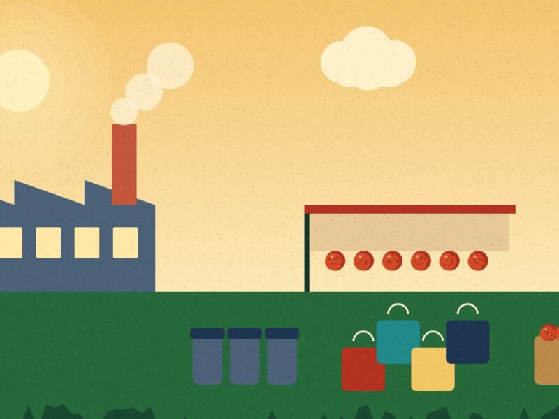 Muzaffarpur Economy: Sudha Dairy, Bela Bags and Litchi Trade